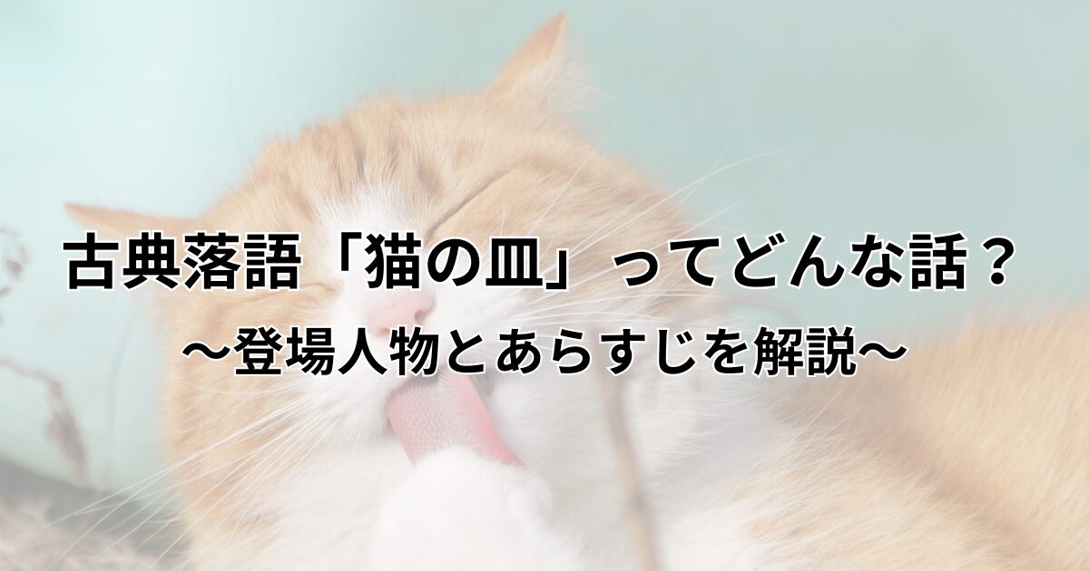 猫の皿　アイキャッチ