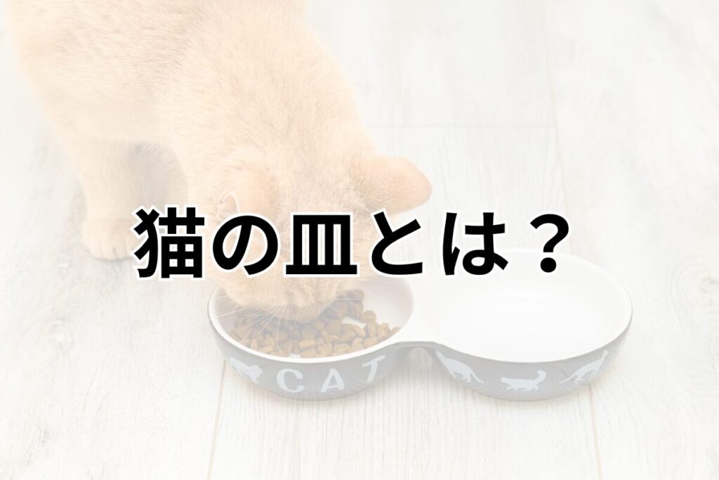 猫の皿とは？