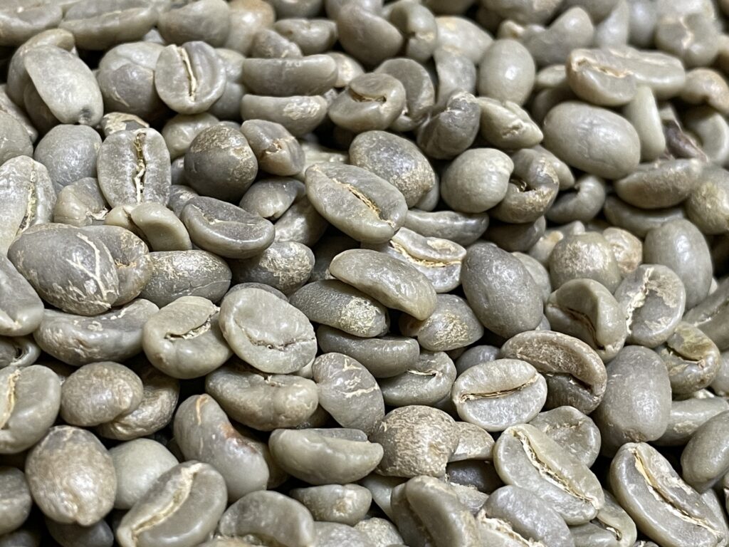 コーヒーの生豆